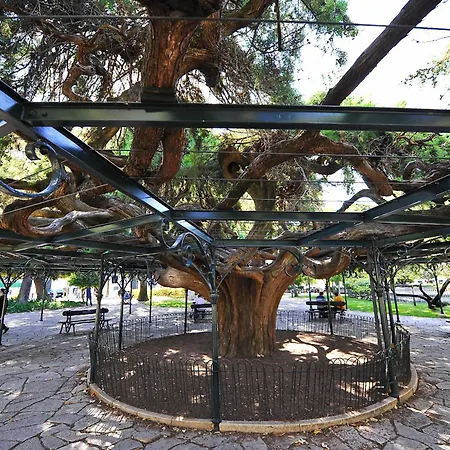 Vintage & In Bairro Alto Апартаменты *