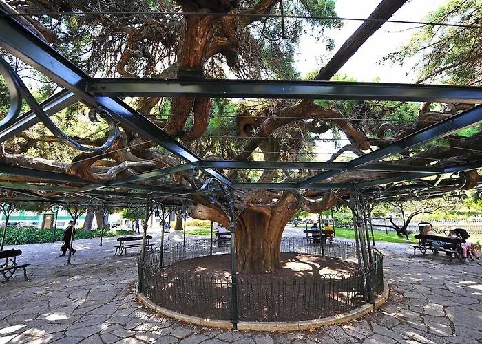 Vintage & In Bairro Alto Apartment *